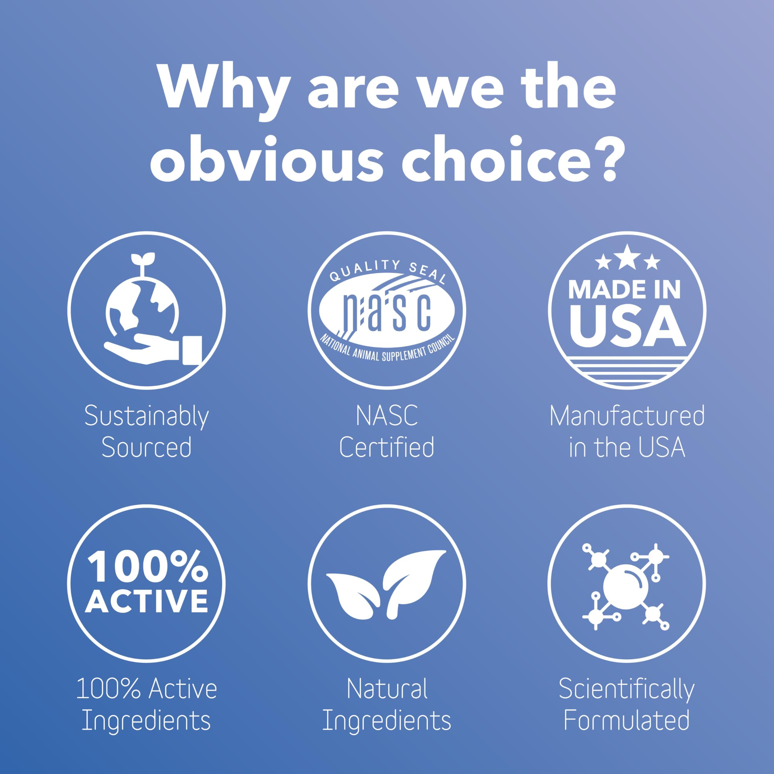 InClover Kidney features green tea and ginger for gentle detox support