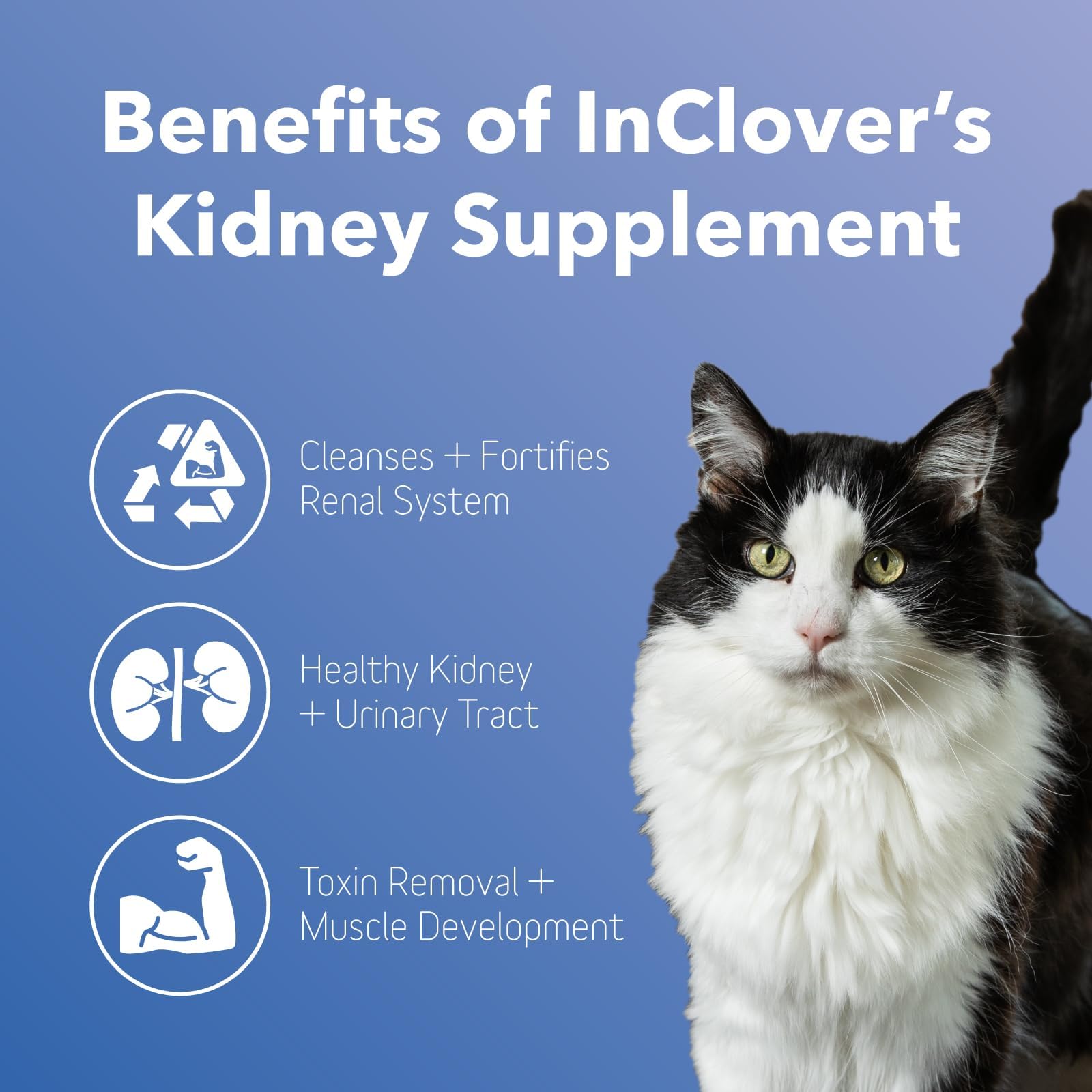 InClover Kidney with resveratrol-rich cranberries for mineral balance support