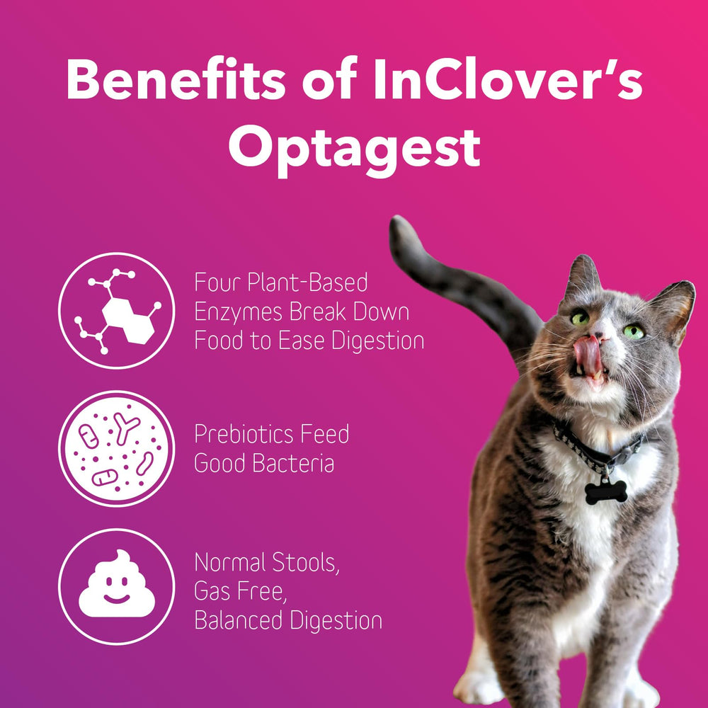Dog bowl scene with In Clover Optagest suggests improved digestion after meals.