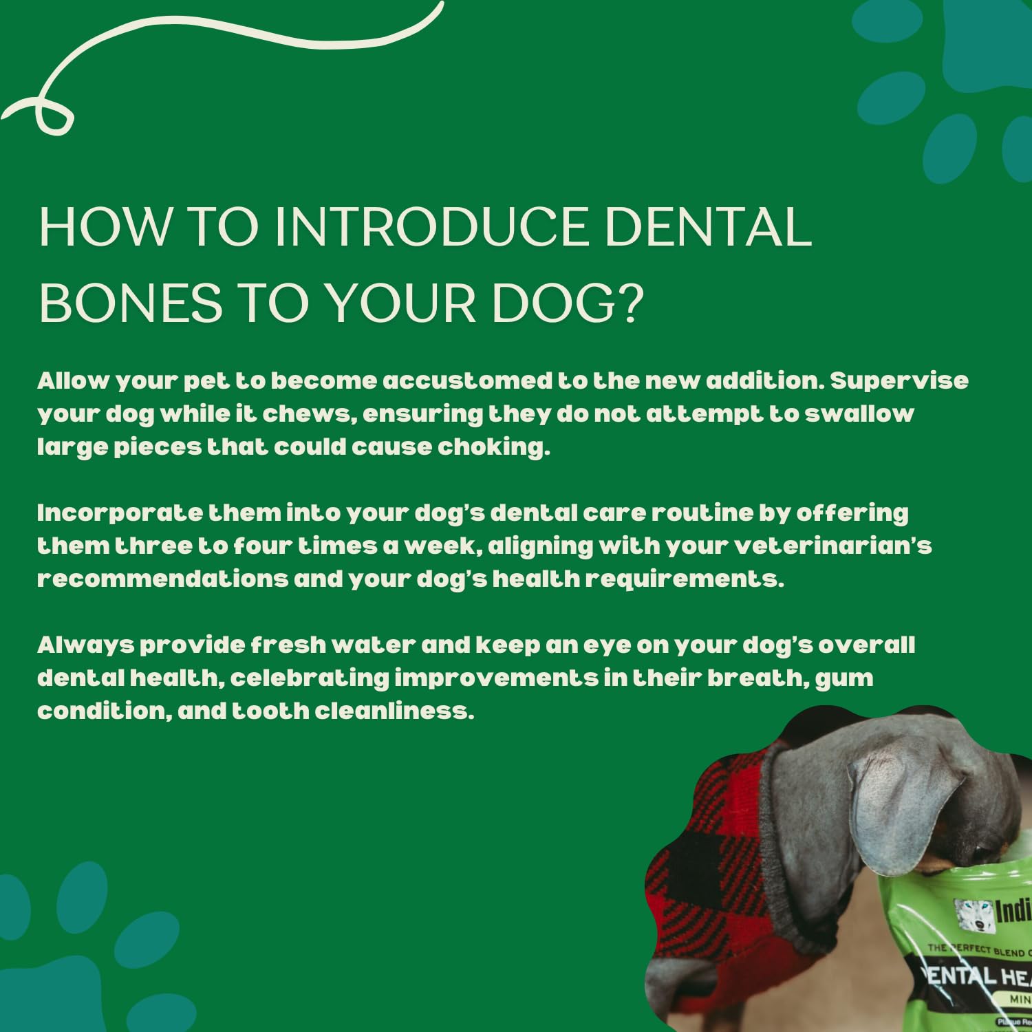 Indigenous dental bones on shelf two-flavor bundle display.