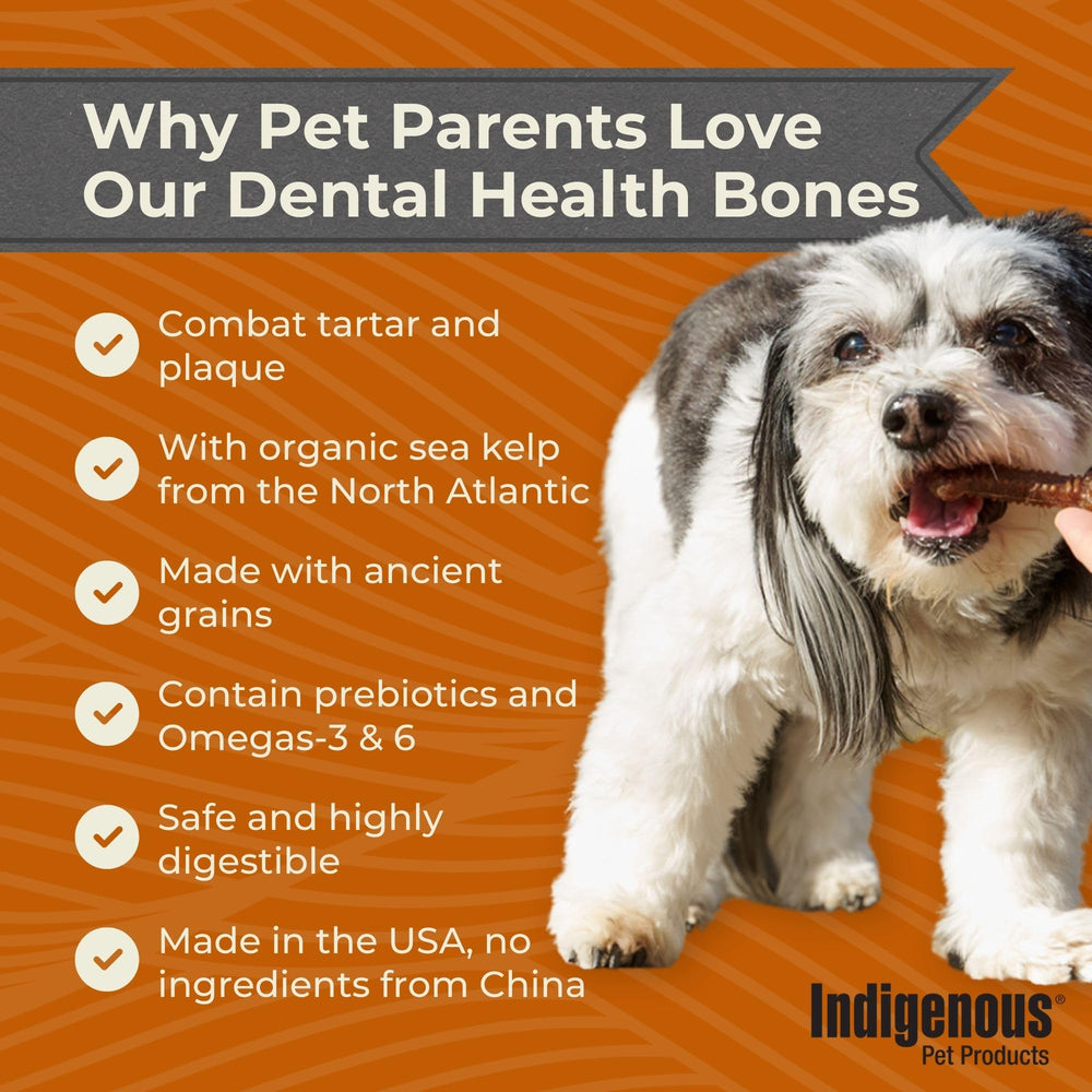 Indigenous Dental Health Bones original flavor bottle mockup highlighting fresh breath