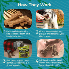 Indigenous dental bones packaging close-up highlighting grain-free formula for selective diets.