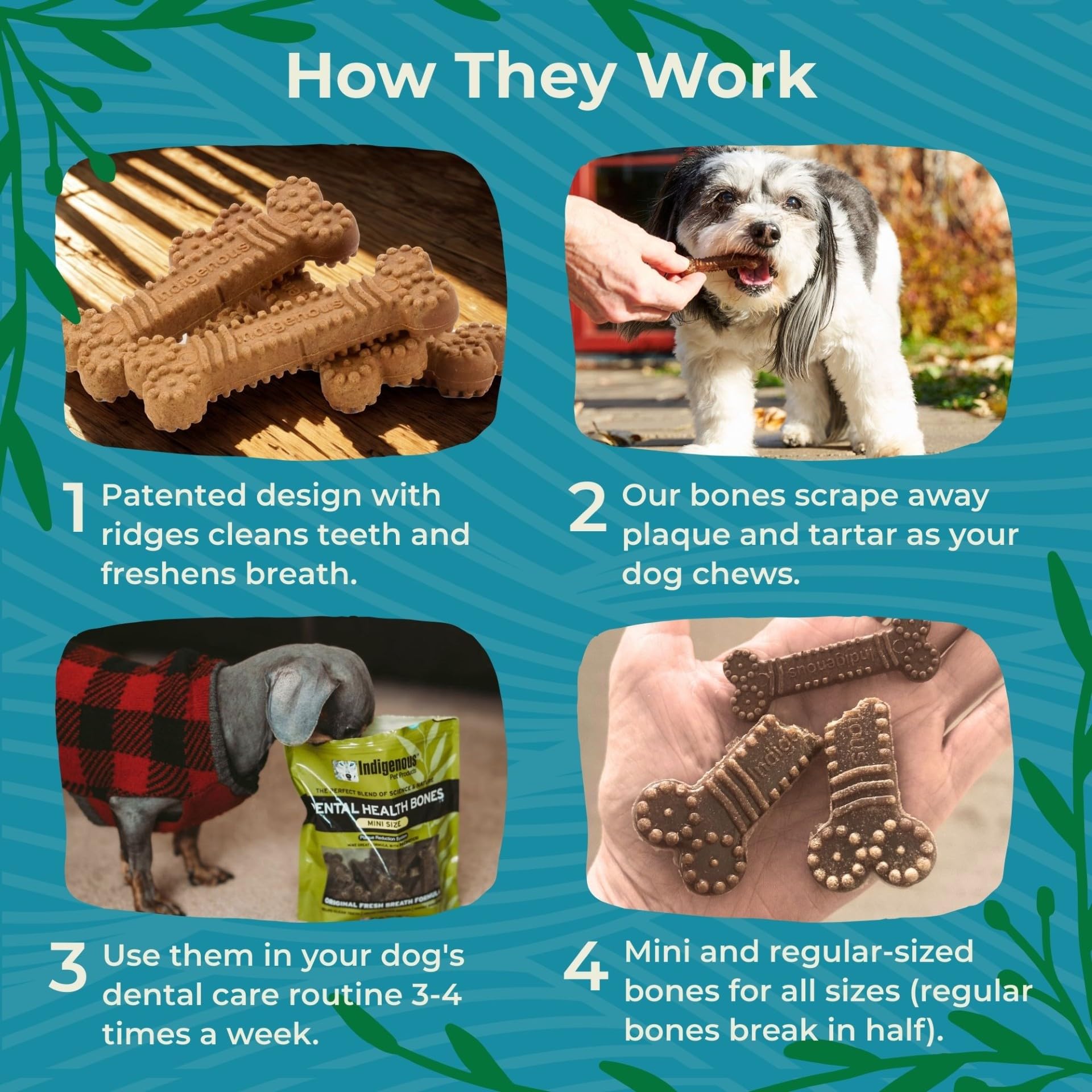 Indigenous Pet Dental Bones Mini breath-freshening effect closeup.
