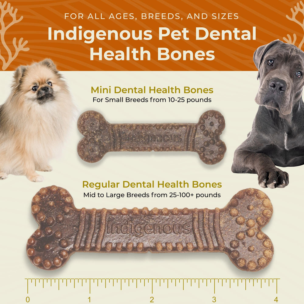 Indigenous Pet Dental Health Bones Mini macro label for ingredients.