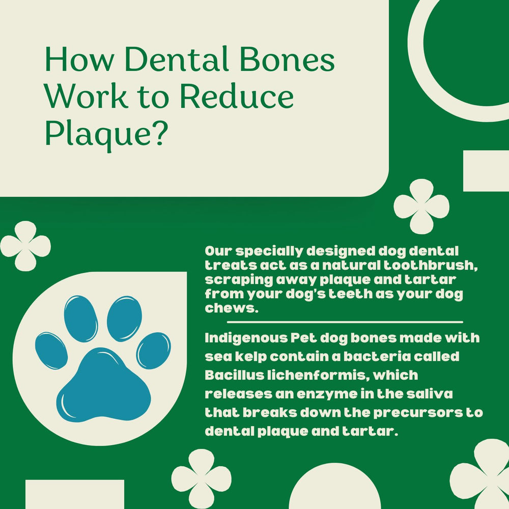Indigenous Pet Dental Health Bones Mini packaging open with treats visible.