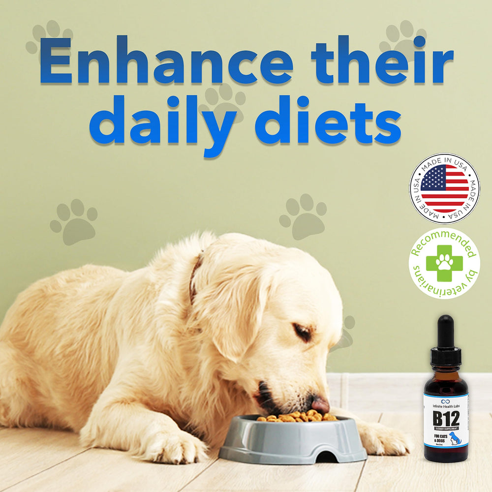 Infinite Health Labs Liquid B12 dogs energy support during walks and play.