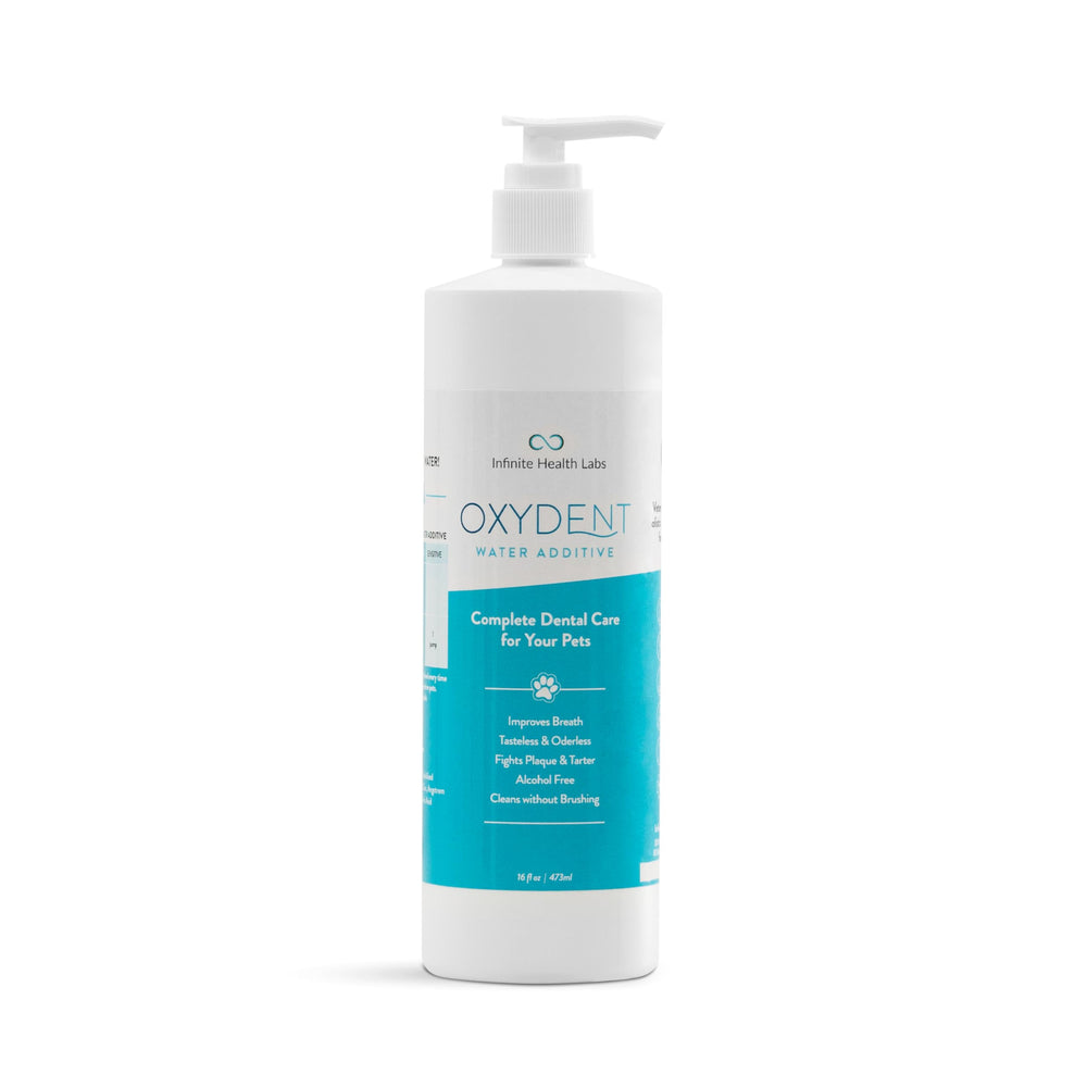 Infinite Health Labs Oxydent bottle on kitchen counter for easy pet dental care