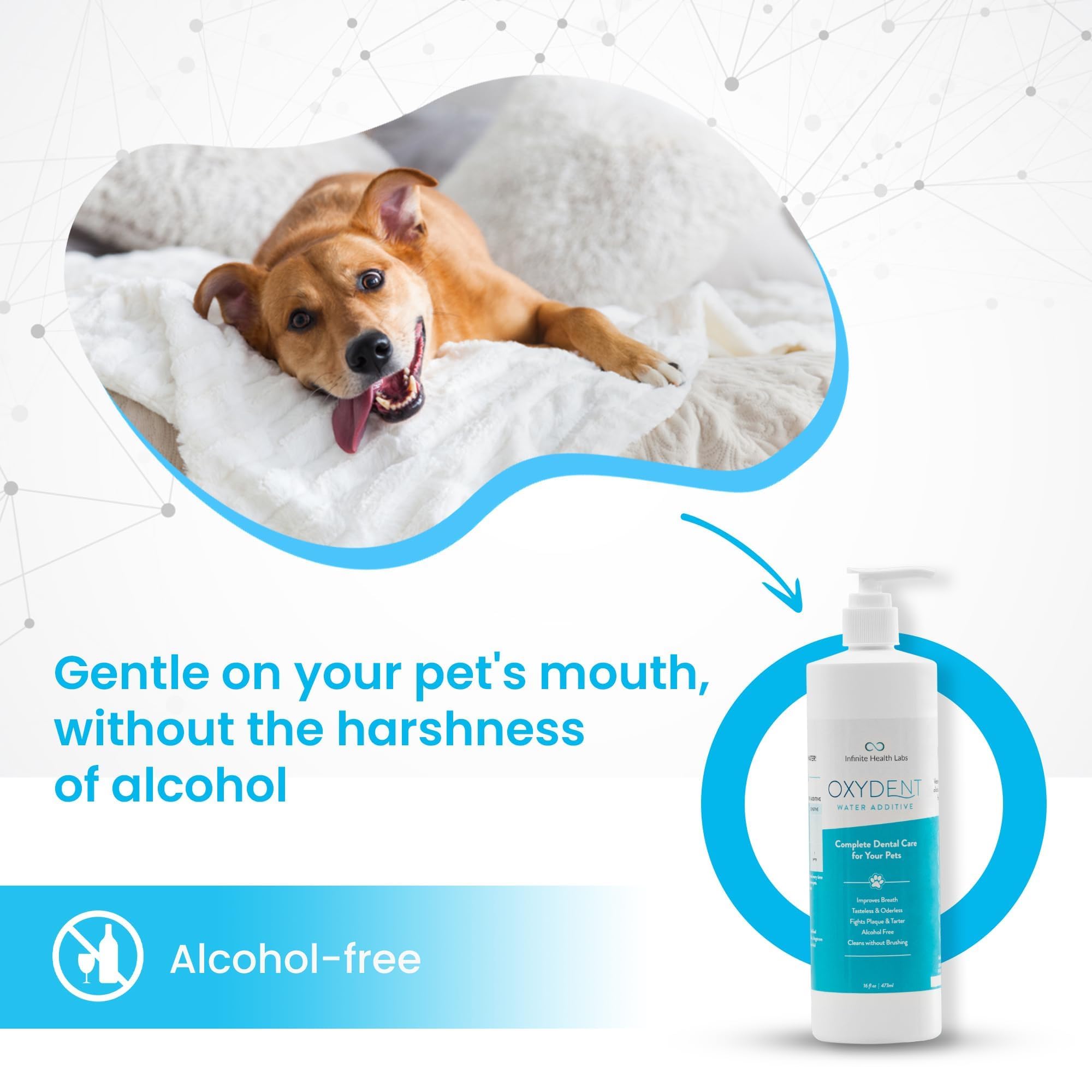 Oxydent packaging highlights chemical-free formula and vet-owned branding