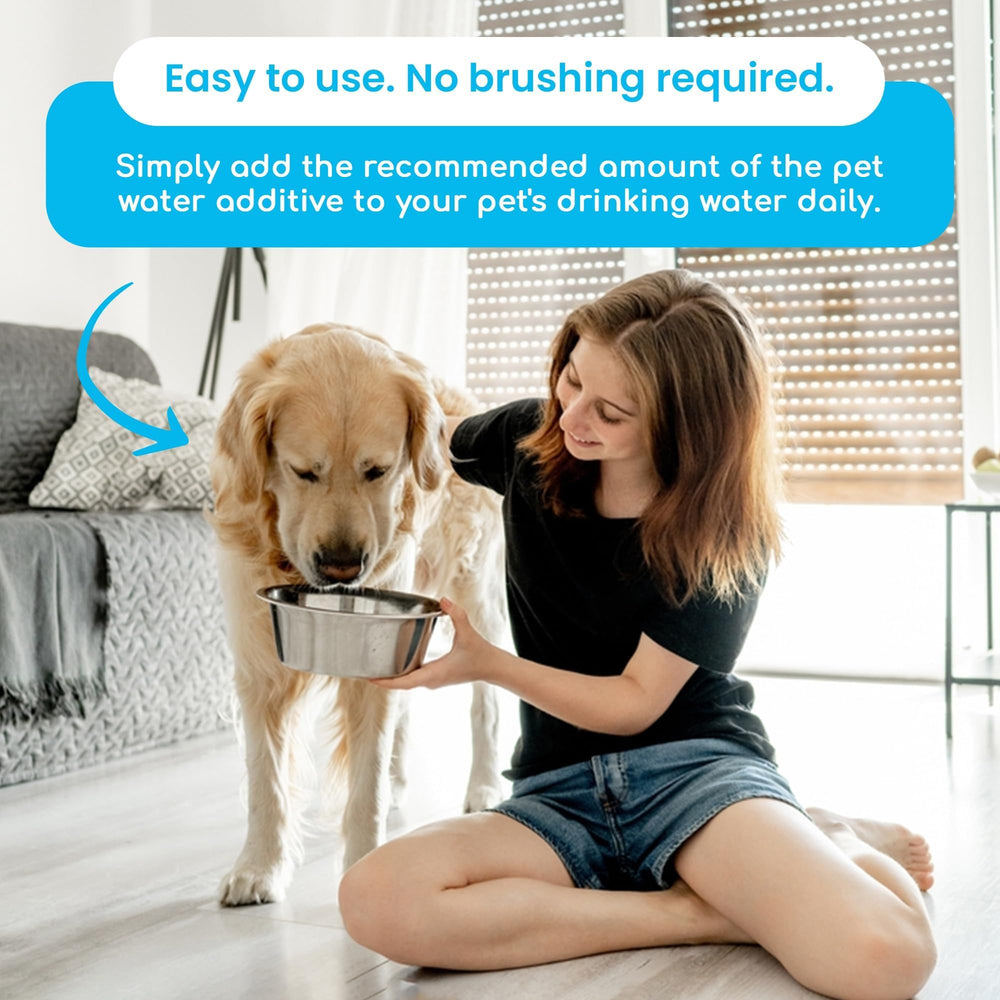 Oxydent bottle with vet-owned label emphasizing trusted care