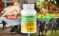 Infinite Pet Supplements dog joint chews close-up shows soft, palatable texture.