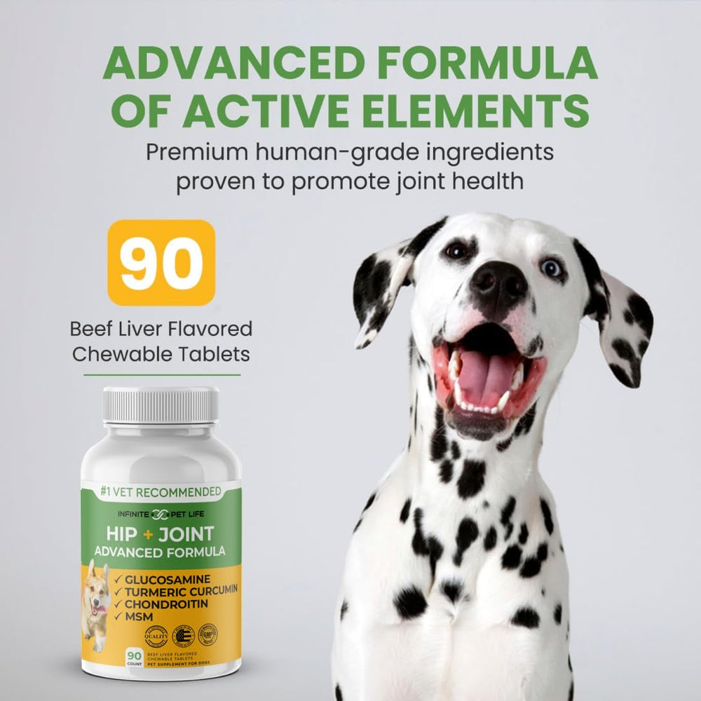 Infinite Pet Supplements made in USA GMP-certified facility seal visible on label.