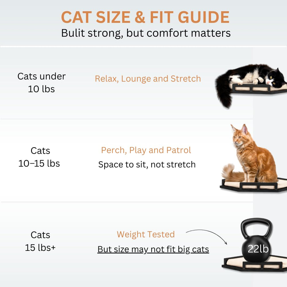 INICIO 3-step cat ladder offers easy ascent for small and medium cats