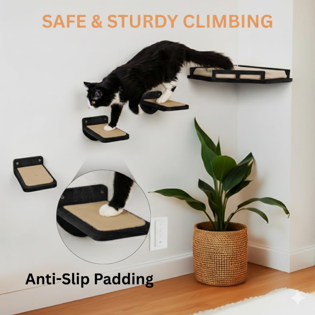 INICIO supports cats up to 15 lbs with a sturdy perch and stairs