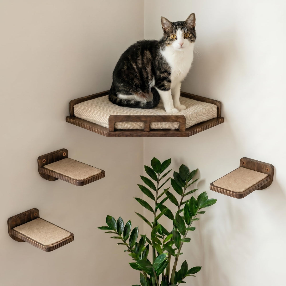 INICIO Cat Wall Shelves show a safe, sturdy design for climbing up to 15 lbs.