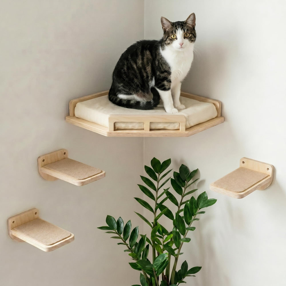 INICIO cat wall shelves safe and sturdy for climbing and lounging.