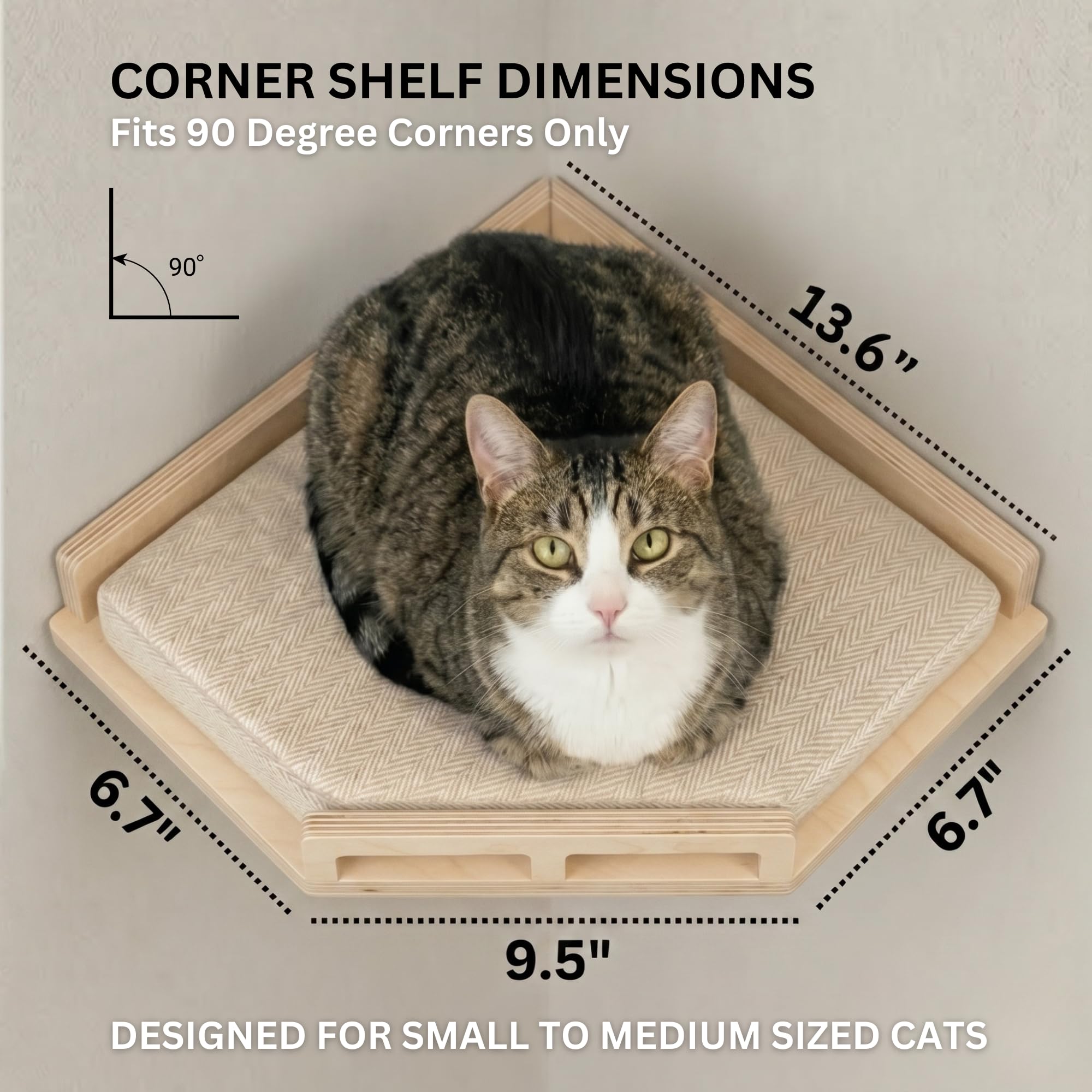 INICIO cat wall shelves three-step climb encourages playful exploration.