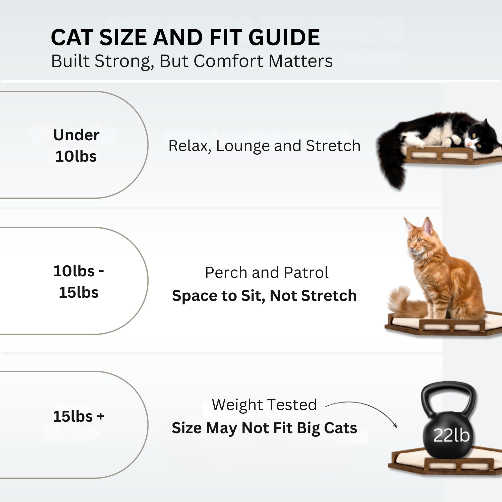 INICIO Cat Wall Shelves securely mount to the wall for reliable access.