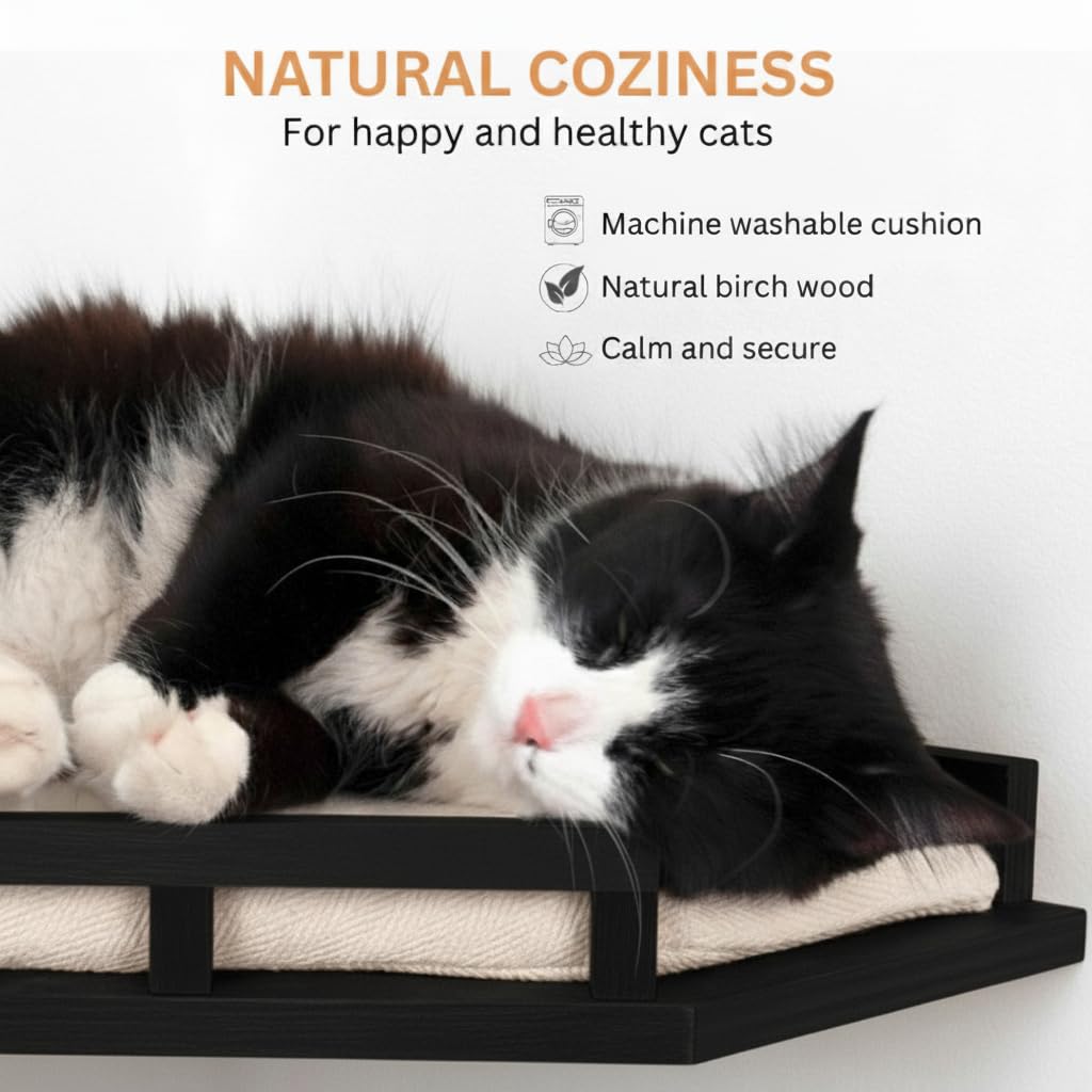 INICIO wall-mounted climbing system creates a safe vertical playground for cats