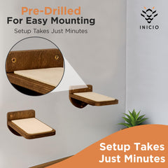 INICIO Wall stairs shown for kittens and adult cats use