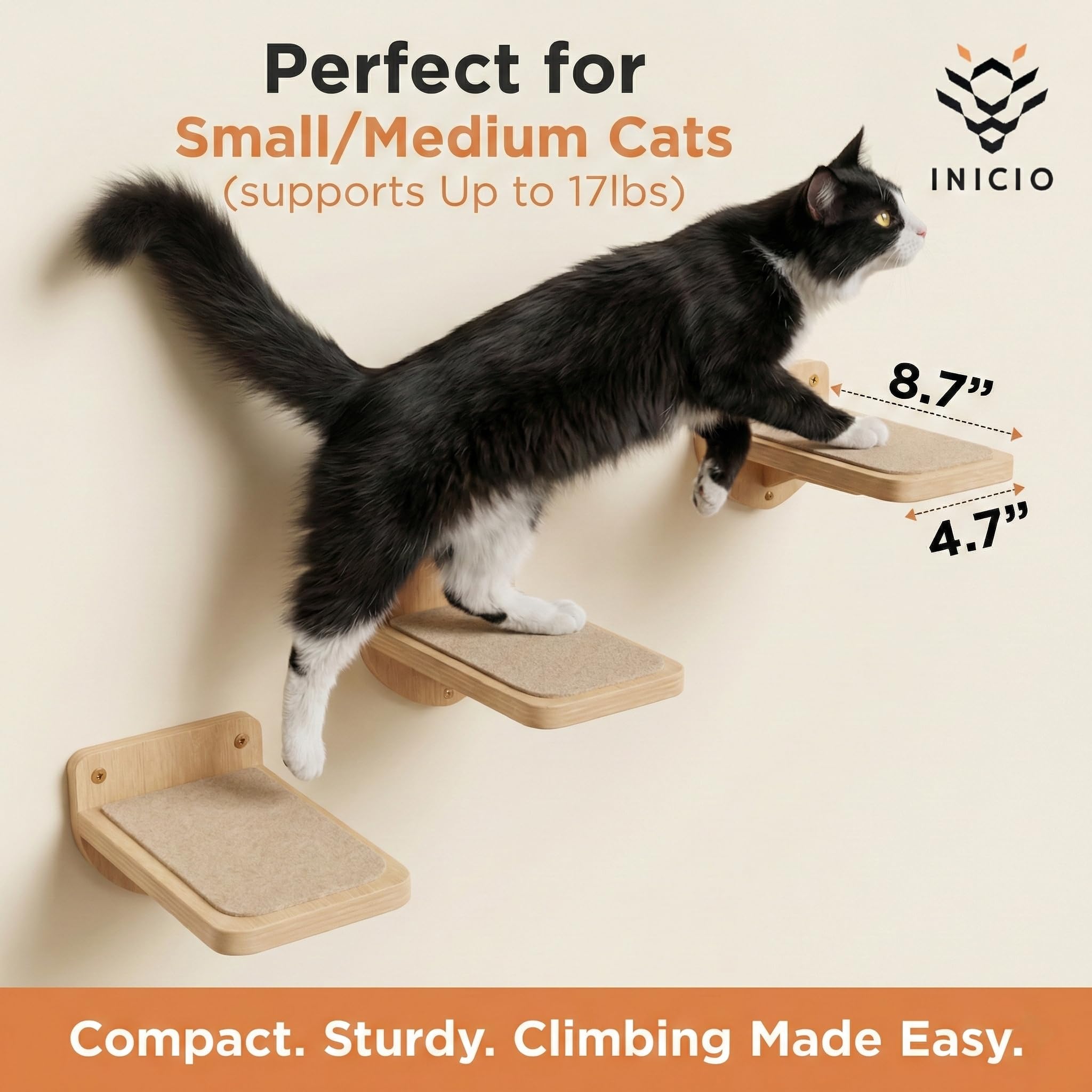 INICIO cat wall stairs kitten-climb view for playful exploration