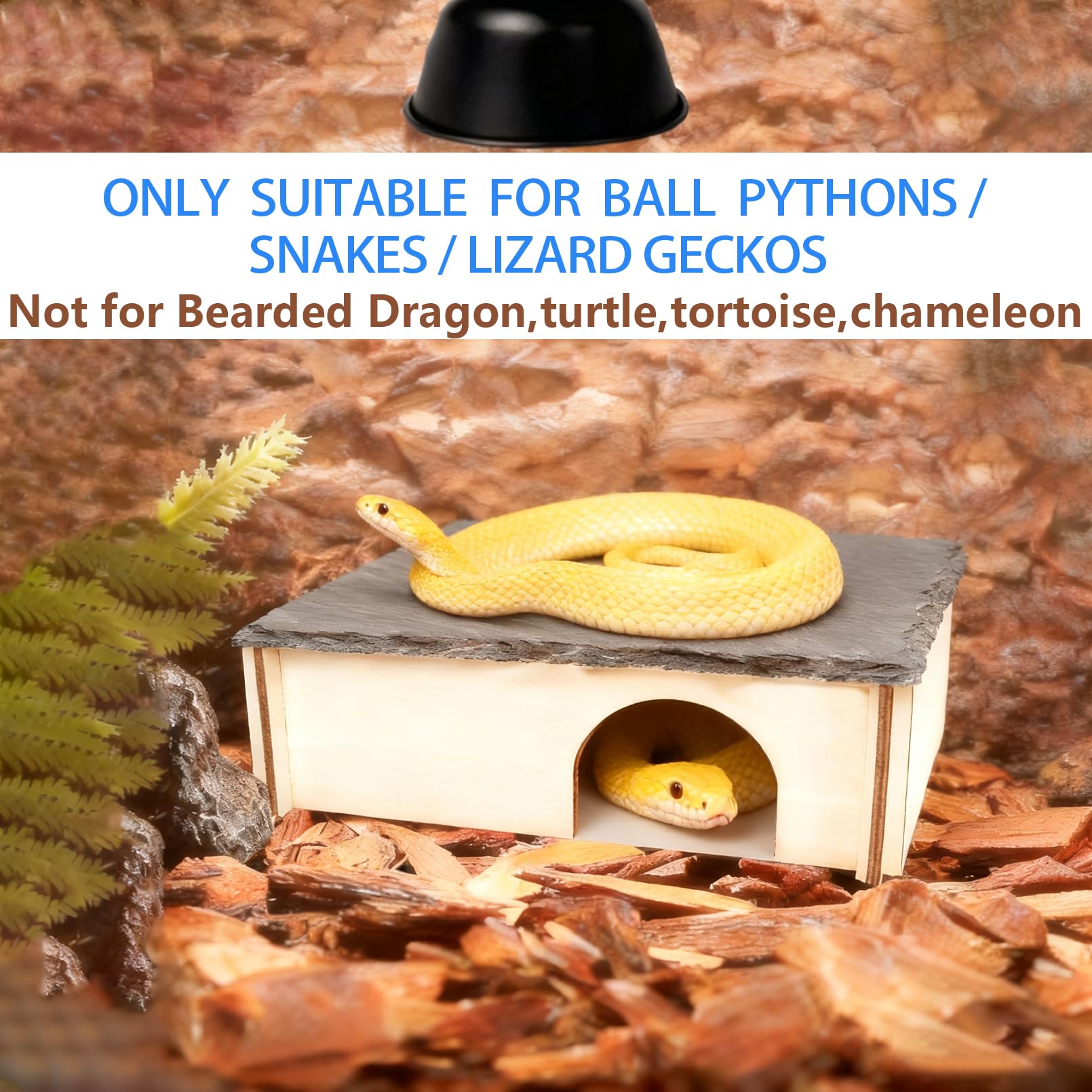 INOSCIND slate reptile hide XL entrance dimensions support easy access for reptiles.