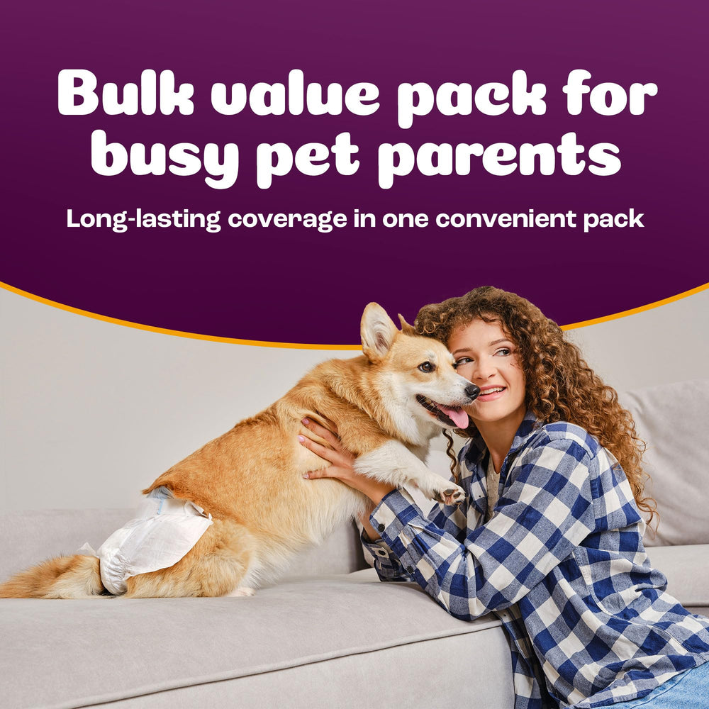 Inspire Pet Care diapers with tail hole and adjustable tabs for secure fit