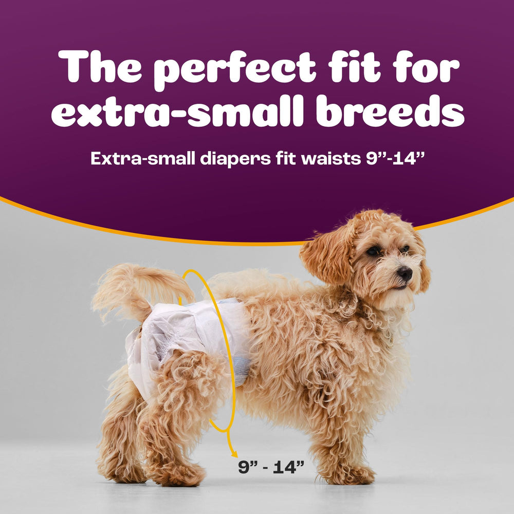 Bulk 50-count Inspire Pet Care dog diapers for easy replacements.