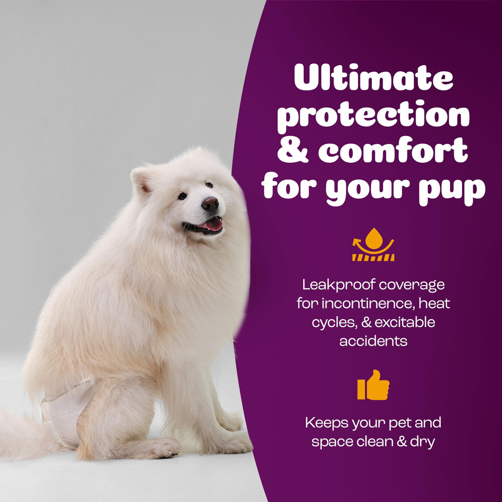 Inspire Pet Care dog diapers delivering comfortable protection without restricting movement