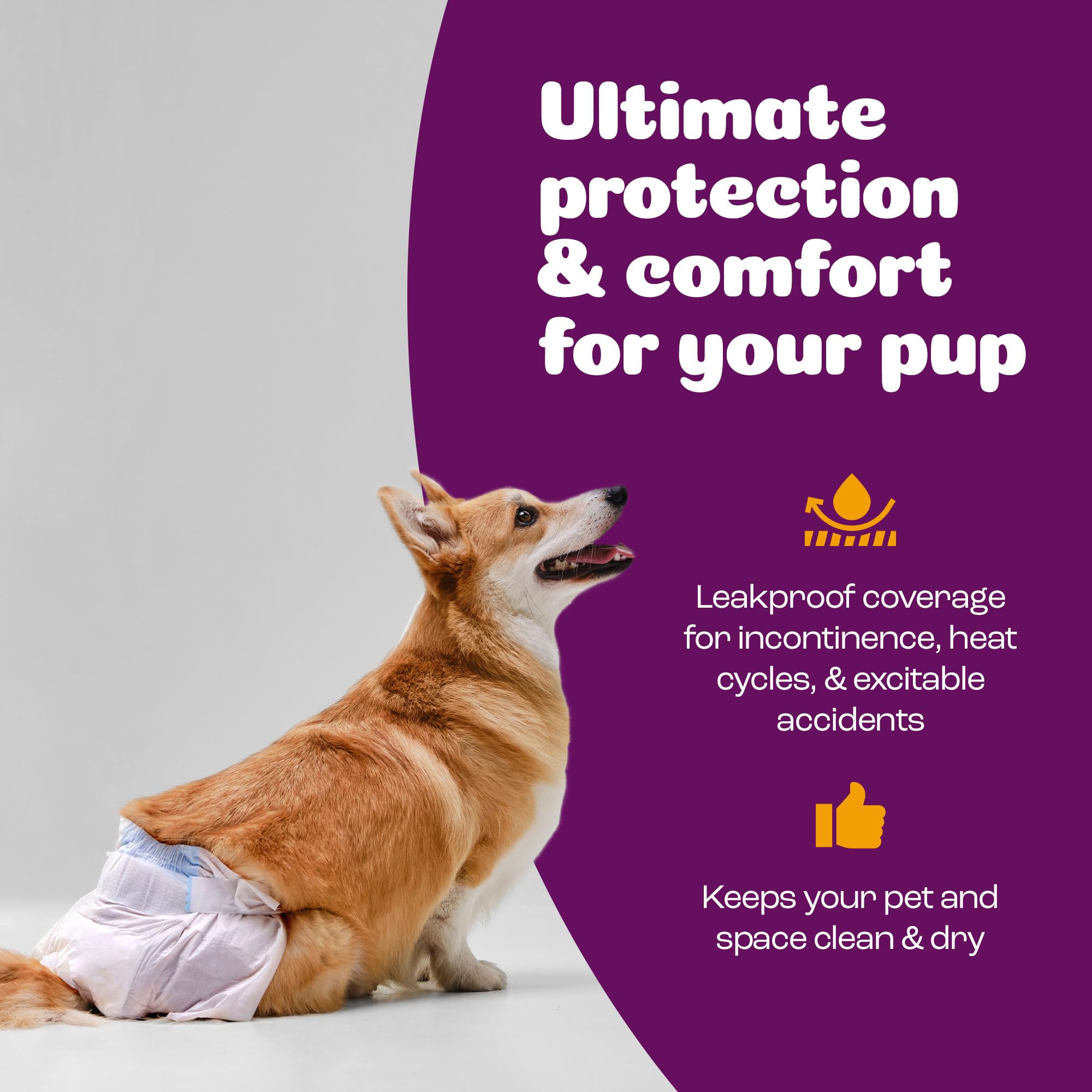Inspire Pet Care dog diapers help with heat cycles and house training