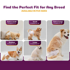 Inspire Pet Care dog diapers with adjustable tabs securing a comfortable fit
