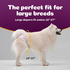 Inspire Pet Care leakproof dog diapers for female dogs to prevent accidents at home