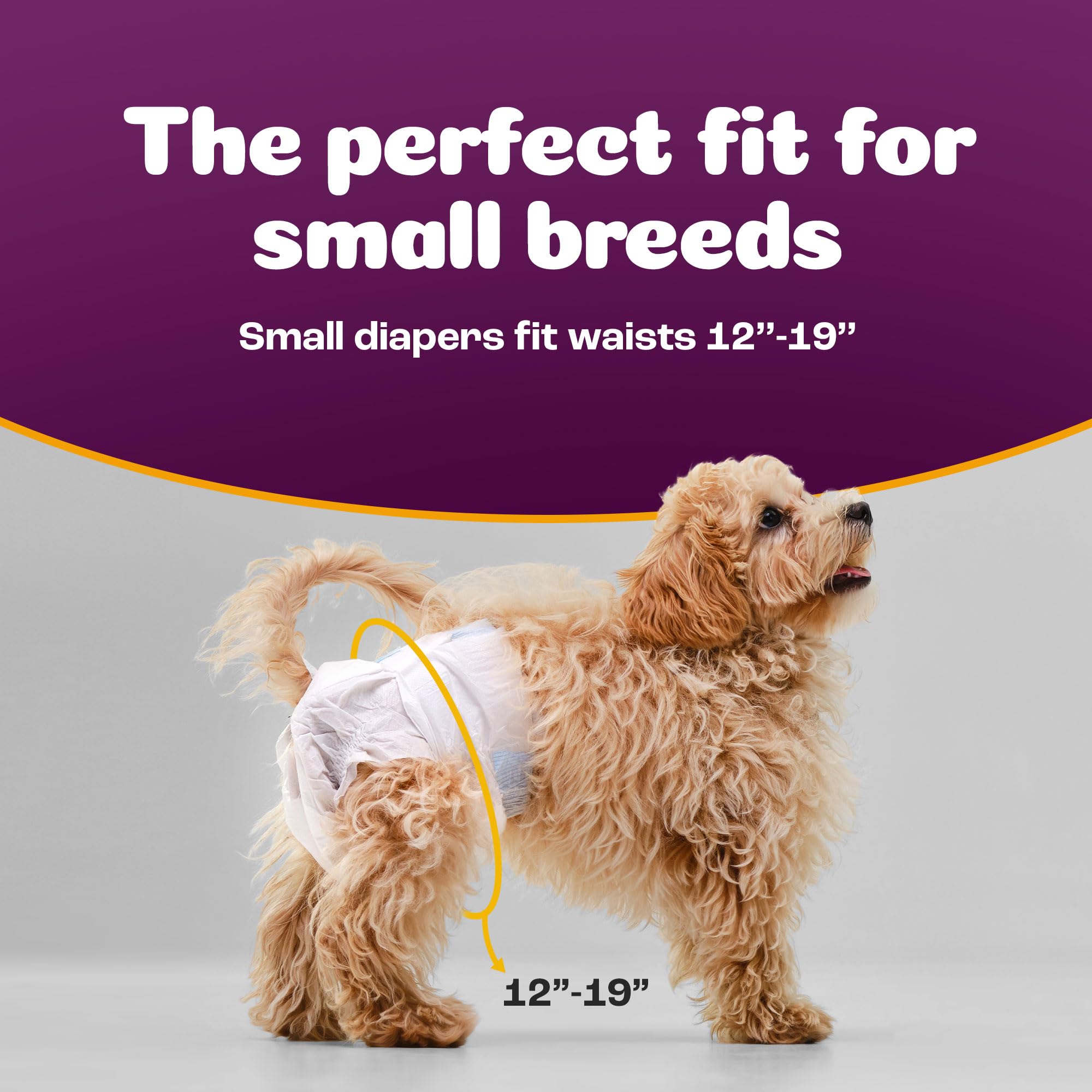 Inspire Pet Care dog diapers heat coverage protects during heat cycles