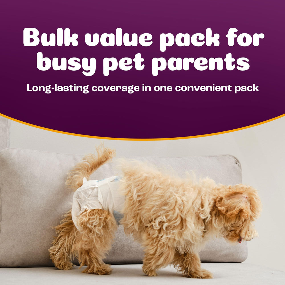 Inspire Pet Care snug fit with size options for small to large dogs