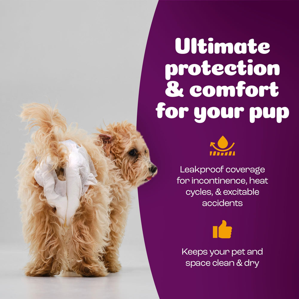 Soft, breathable material from Inspire Pet Care keeps dogs comfortable.