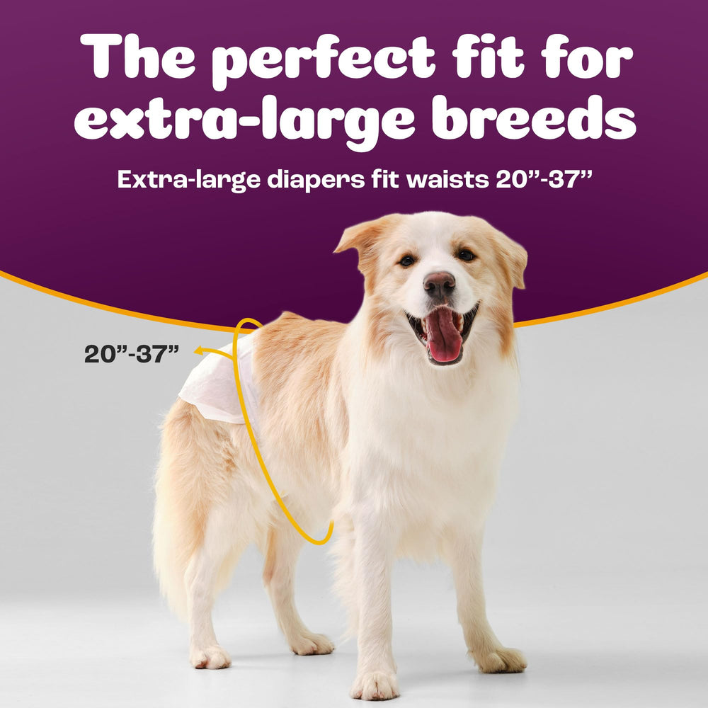 Inspire Pet Care dog diapers on-dog view with secure fit and adjustable tabs