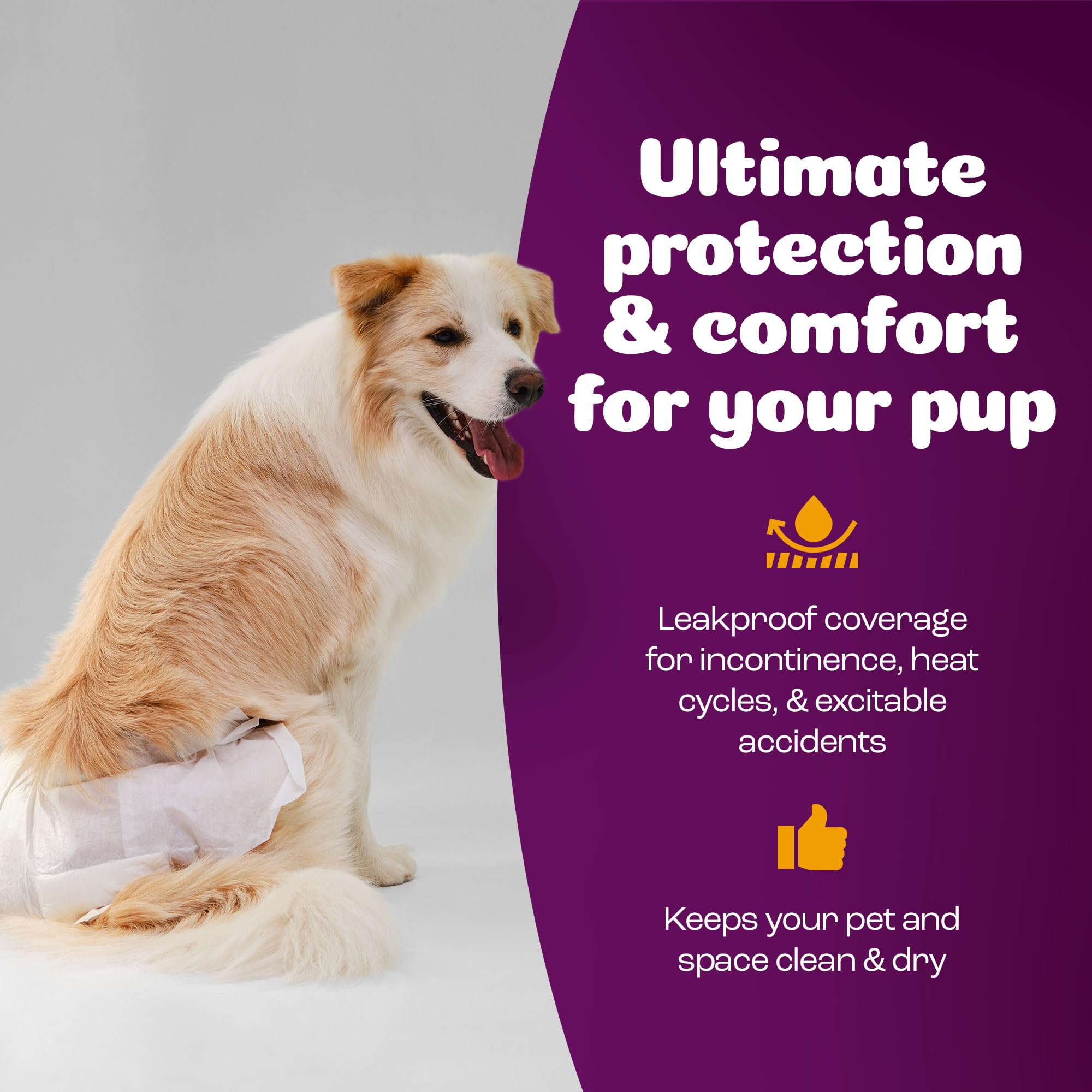 Inspire Pet Care travel-friendly dog diapers suitable for trips