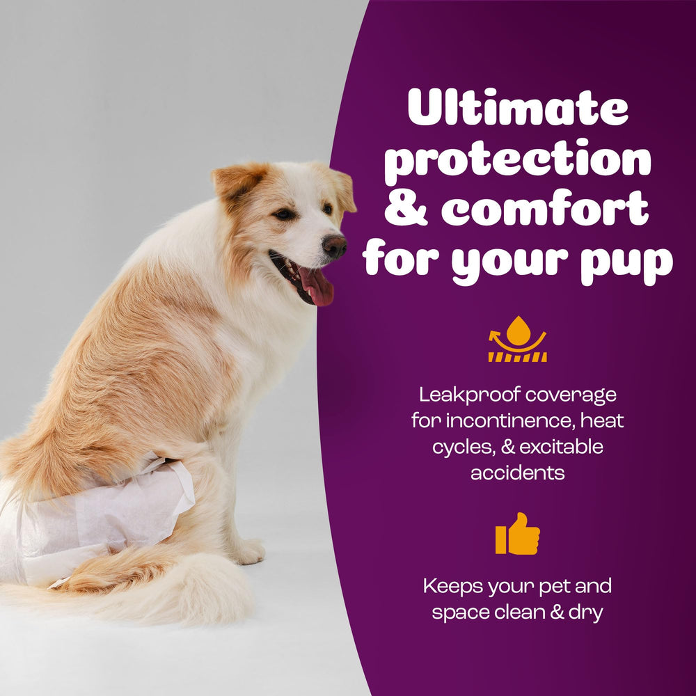 Inspire Pet Care travel-friendly dog diapers suitable for trips