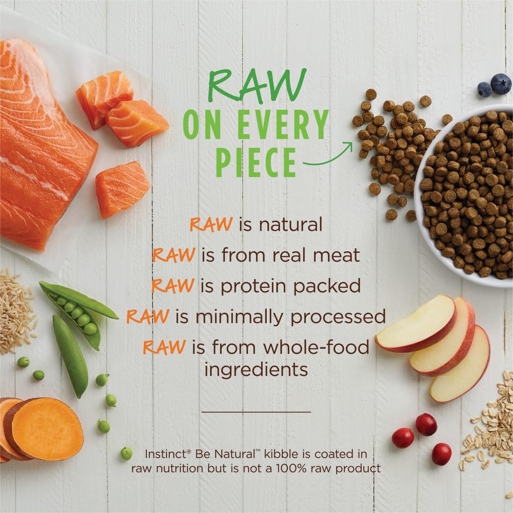 Instinct Be Natural real salmon piece emphasizes meat-forward ingredients