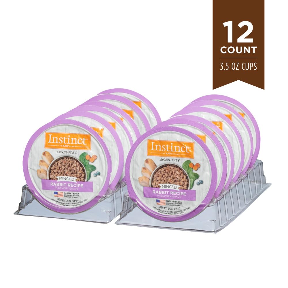 Instinct cat dining scene emphasizes grain-free nutrition during busy days.