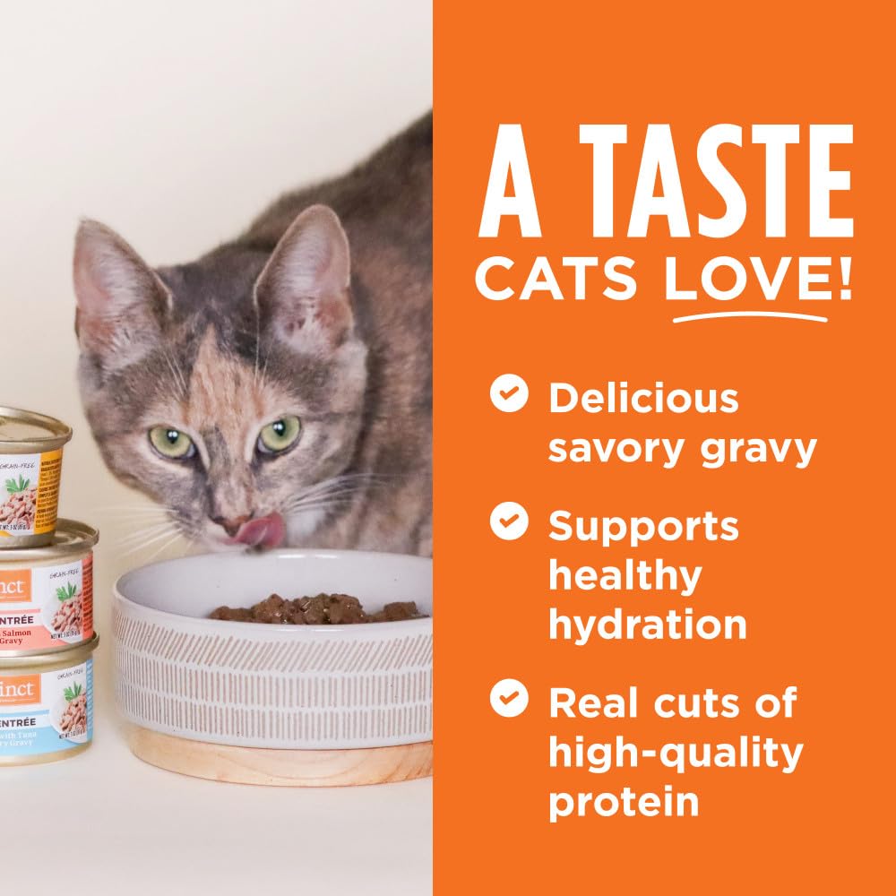 Instinct Duck in Savory Gravy delivers rich flavor and natural moisture.