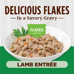 Instinct Flaked Entrée Lamb cat eating a bowl of wet food with gravy