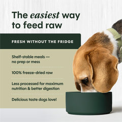 Instinct FreshDried Bites bowl with lamb, supporting healthy digestion.
