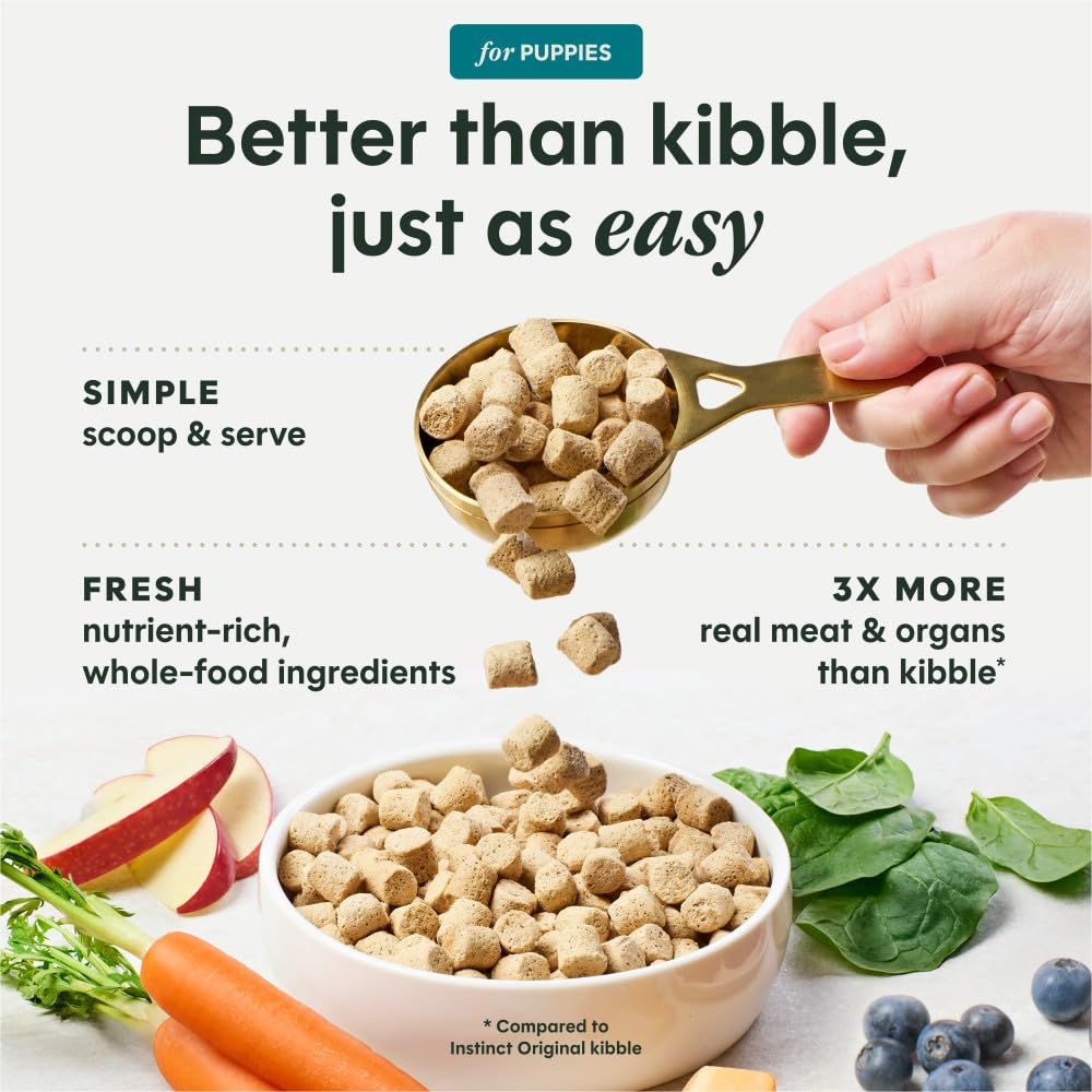 Instinct FreshDried Bites puppy bowl serving highlights grain-free nutrition for sustained energy.