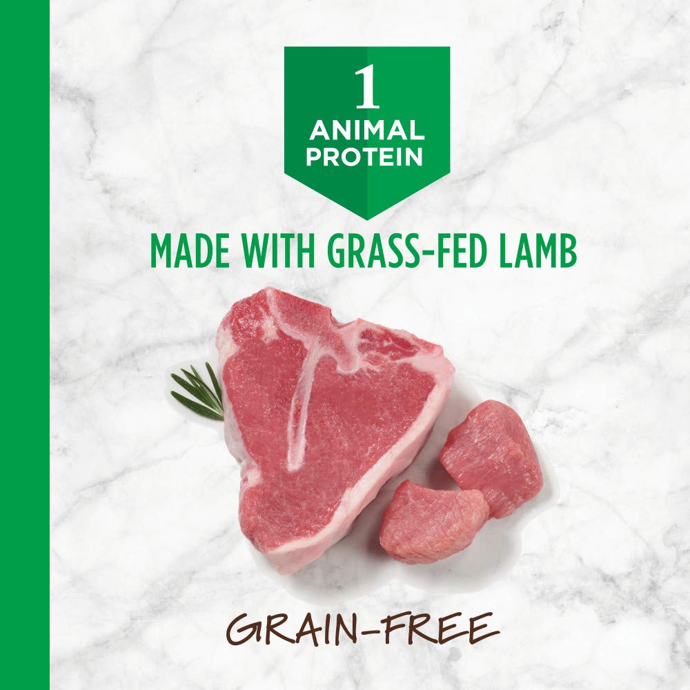 Instinct lamb protein pieces close-up highlight lean meat and digestibility.