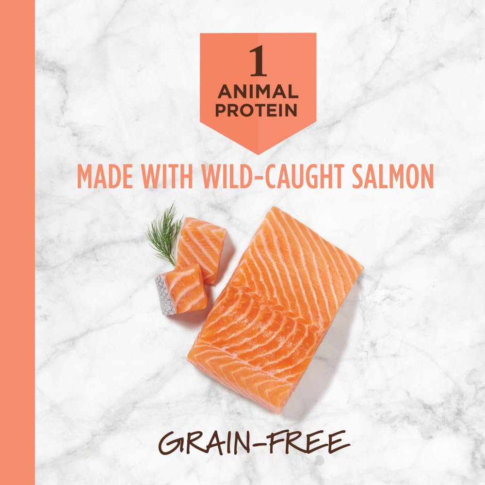 Instinct Limited Ingredient Diet real salmon close-up highlighting protein-rich, easily digested nutrition