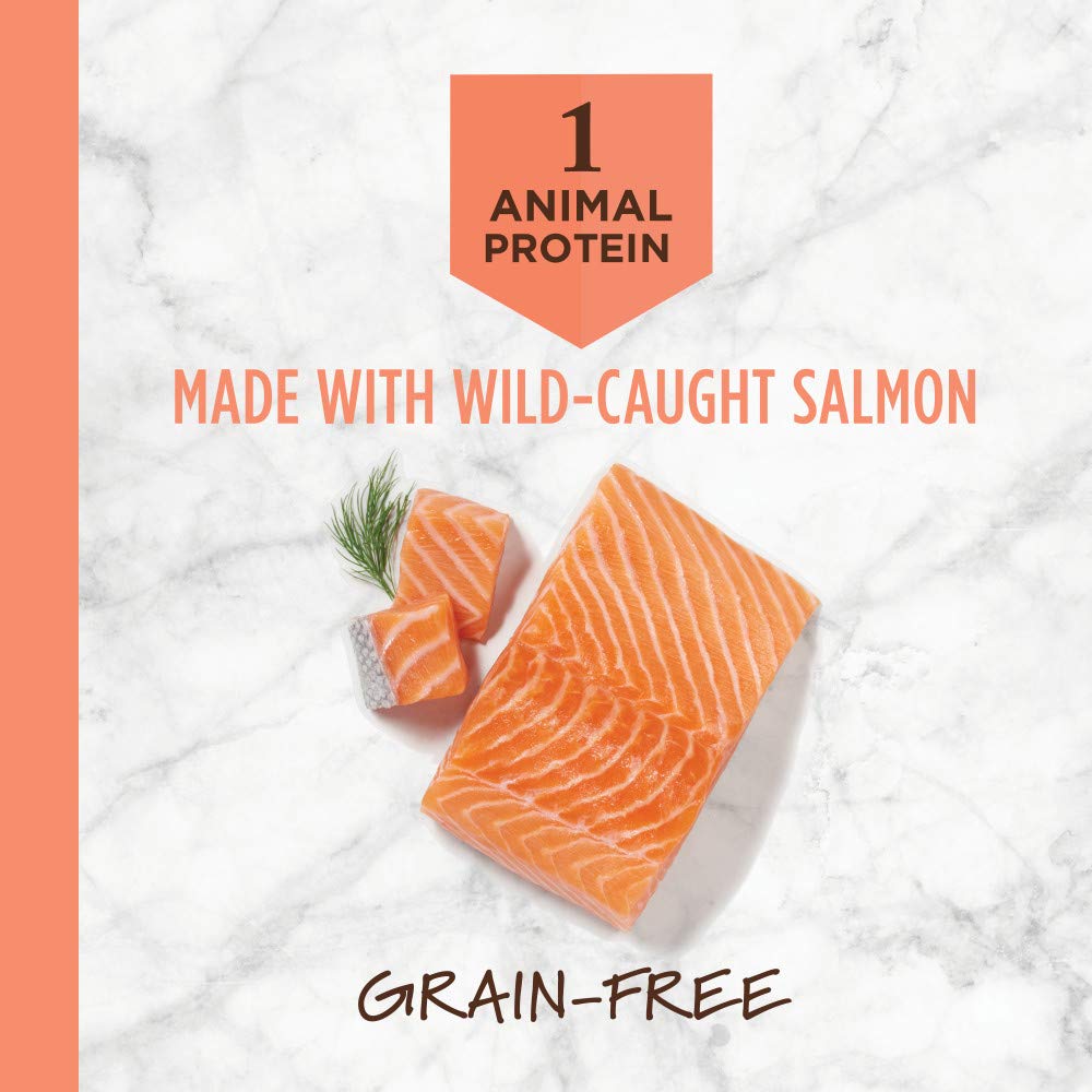 Instinct Limited Ingredient Diet salmon kibble close-up highlights crunchy texture and single-protein nutrition.