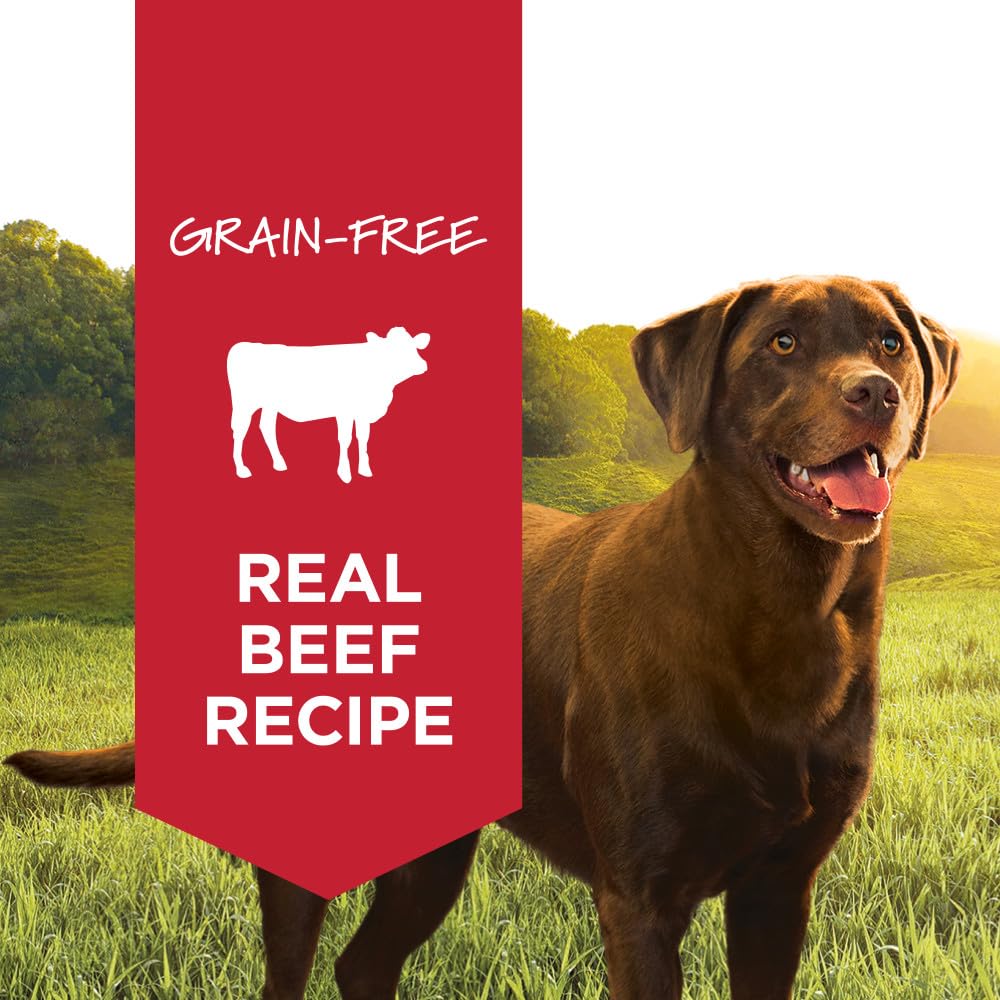 Instinct Original beef-first formula promotes protein-rich meals for dogs.
