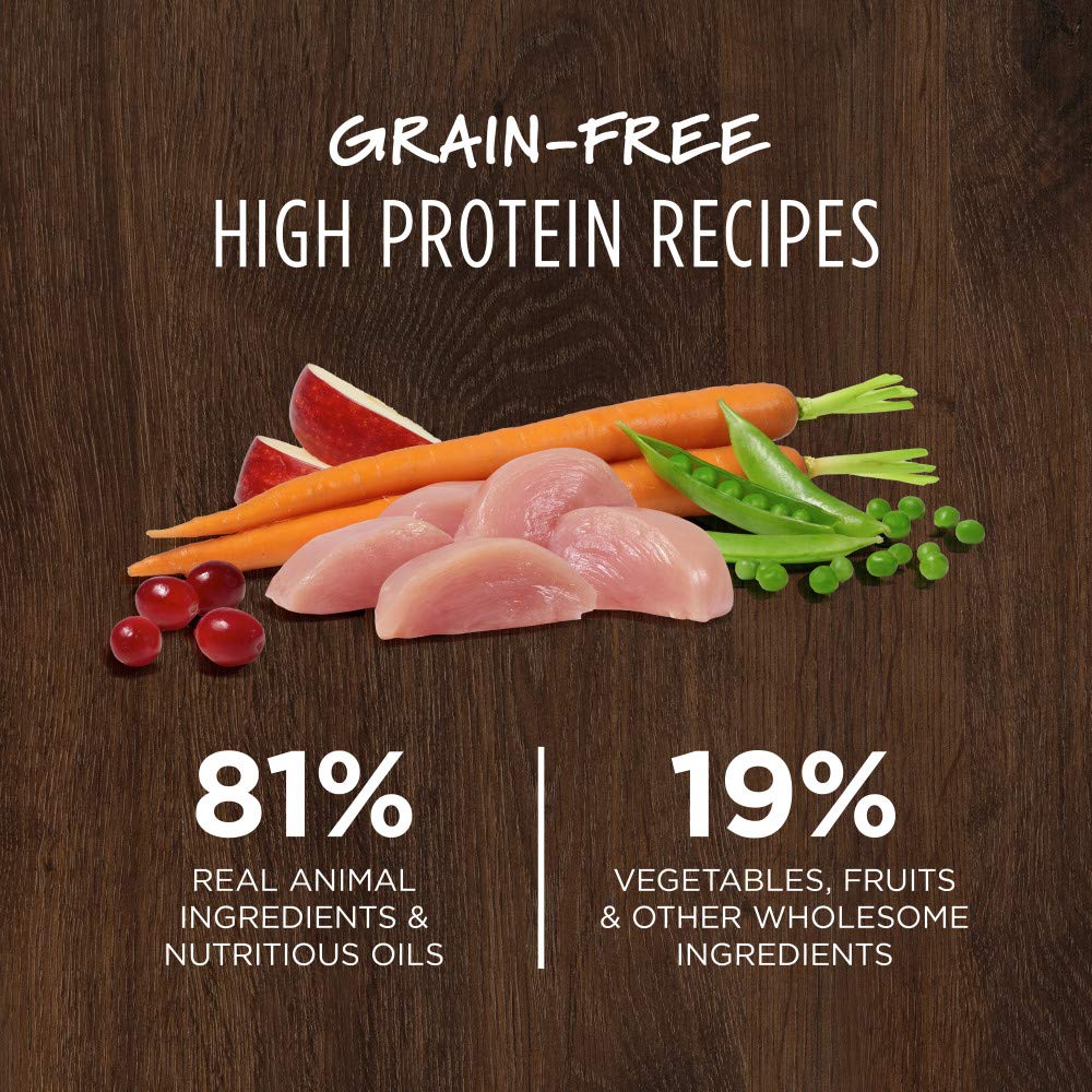 Close-up of raw-coated kibble from Instinct Original enhances flavor and texture.