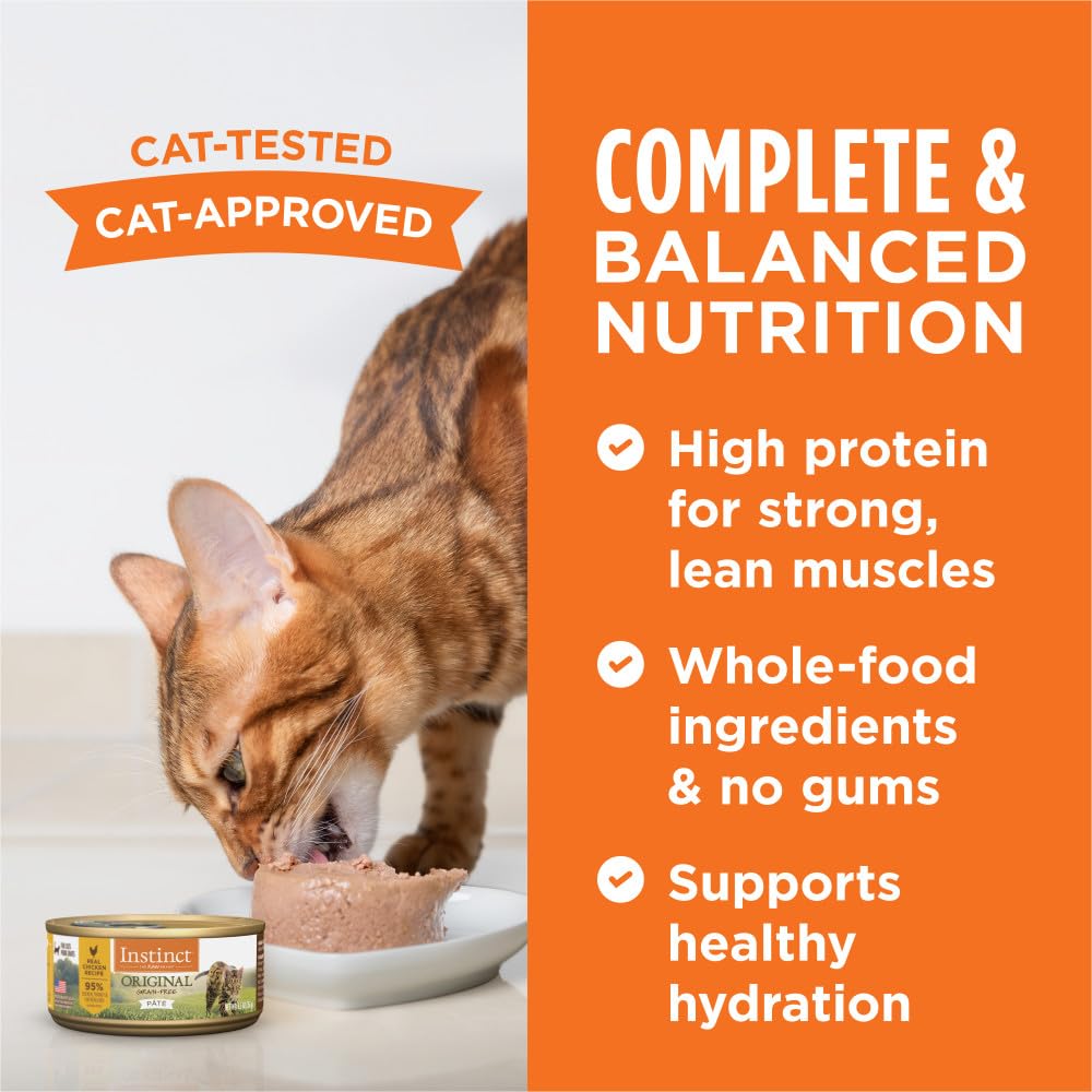 Includes vegetables and fruits to complement the protein-rich recipe.