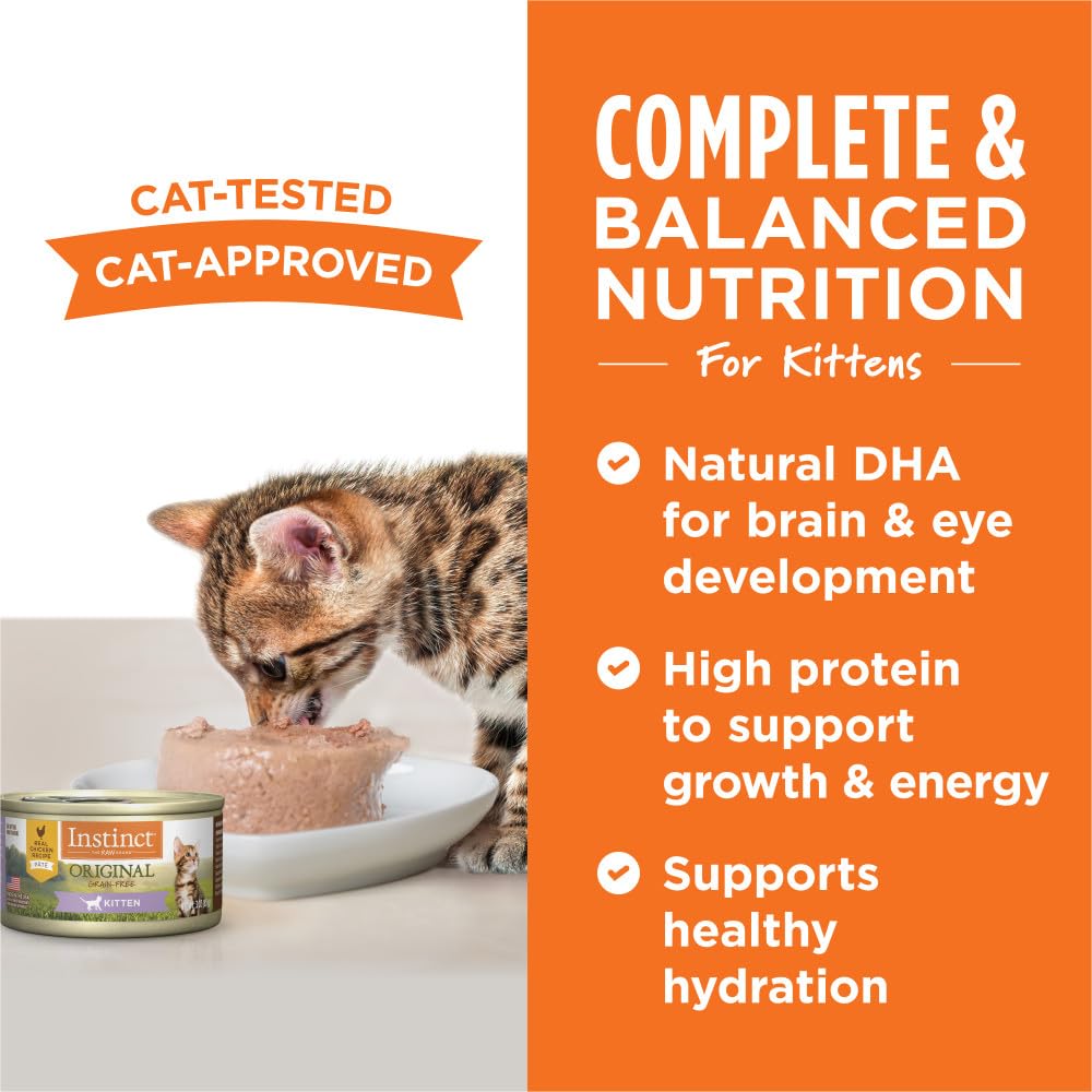 Instinct Original kitten wet food with DHA eggs close-up suggesting brain-supporting nutrients.